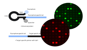 멀티플랙싱 기술